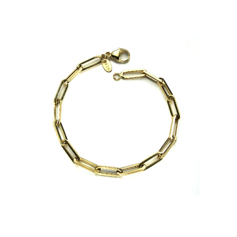 Make Your Outfit Shine With Discounted Jewelry Paperclip Chain Necklace or Bracelet Make Your Outfit Shine With Discounted Jewelry Paperclip Chain Necklace or Bracelet