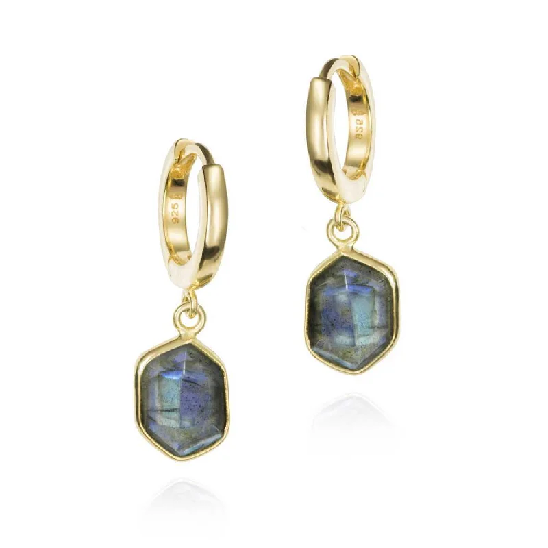 Stunning Jewelry At Even More Stunning Prices 18K Yellow Gold Vermeil Hexagon Labradorite Dangle Earrings Stunning Jewelry At Even More Stunning Prices 18K Yellow Gold Vermeil Hexagon Labradorite Dangle Earrings