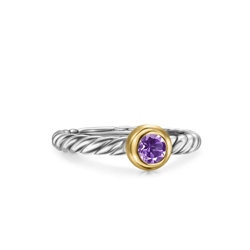 The Biggest Jewelry Sale Of The Year Is Here Petite Cable Ring in Sterling Silver with 14K Yellow Gold and Amethyst\, 2.8mm The Biggest Jewelry Sale Of The Year Is Here Petite Cable Ring in Sterling Silver with 14K Yellow Gold and Amethyst\, 2.8mm
